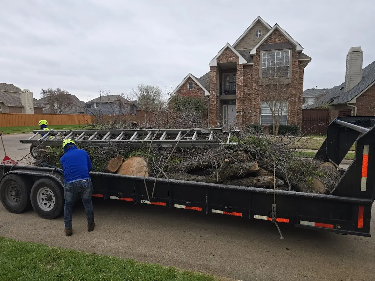 Expert Tree Fertilization with proper safety equipment in South Woodstock